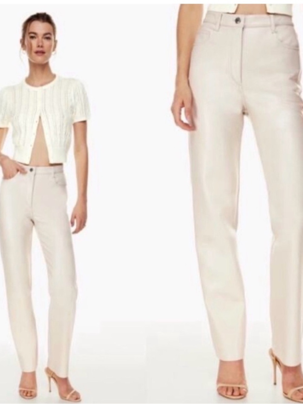 Aritzia Leather Pant